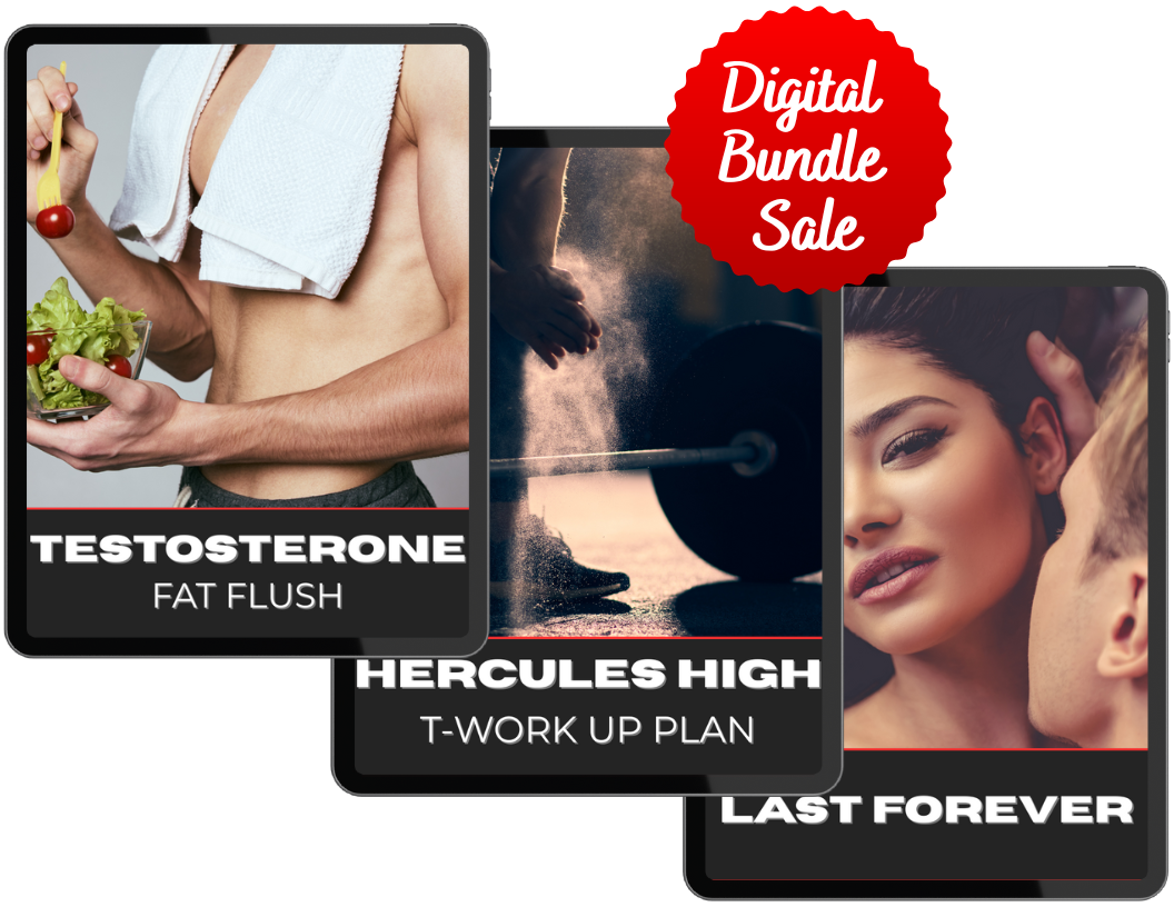 Ebook Bundle