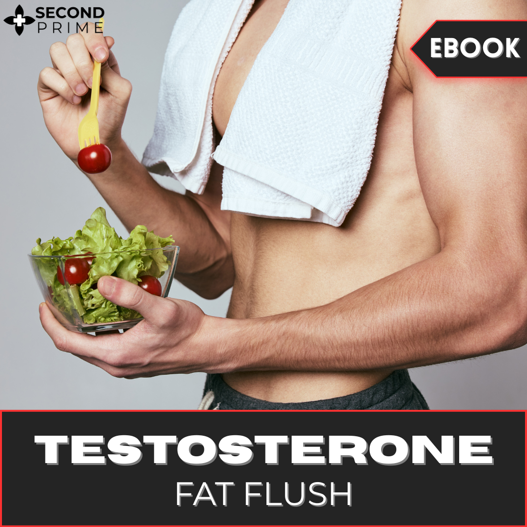 Ebook Bundle